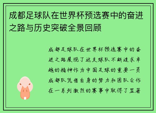 成都足球队在世界杯预选赛中的奋进之路与历史突破全景回顾